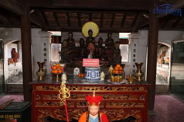 Chua Duc Son MediaChonthieng